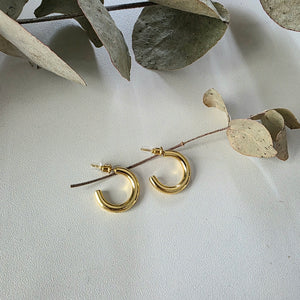 Hooped Stud Earrings
