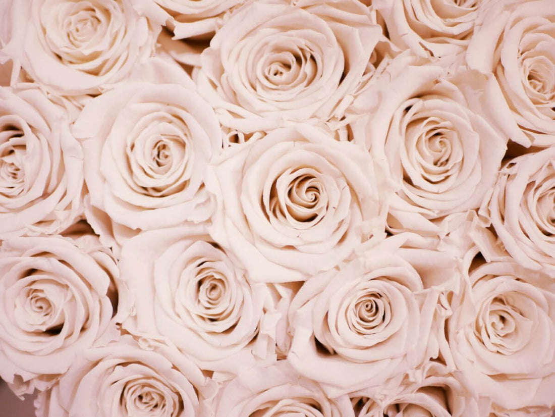 Rose Gold Jewellery