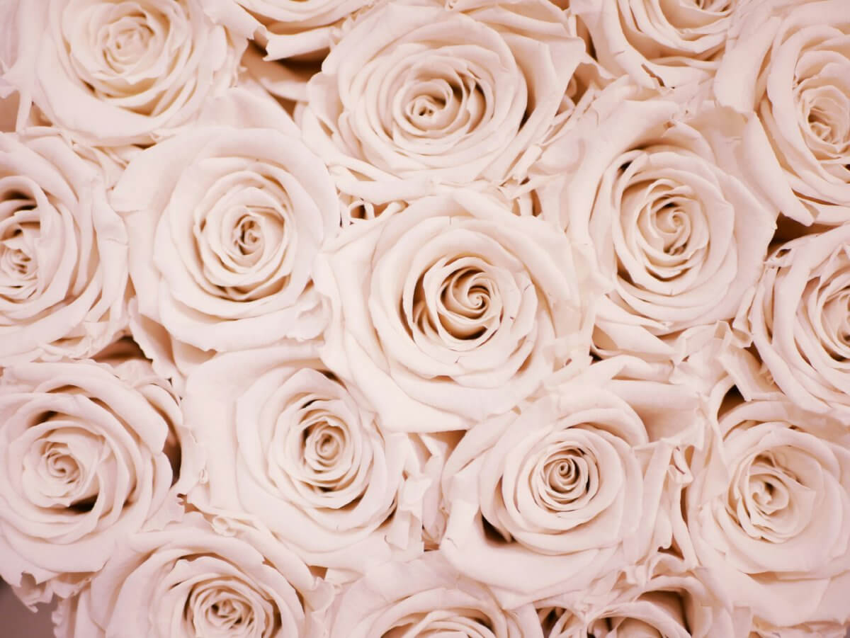 Rose Gold Jewellery