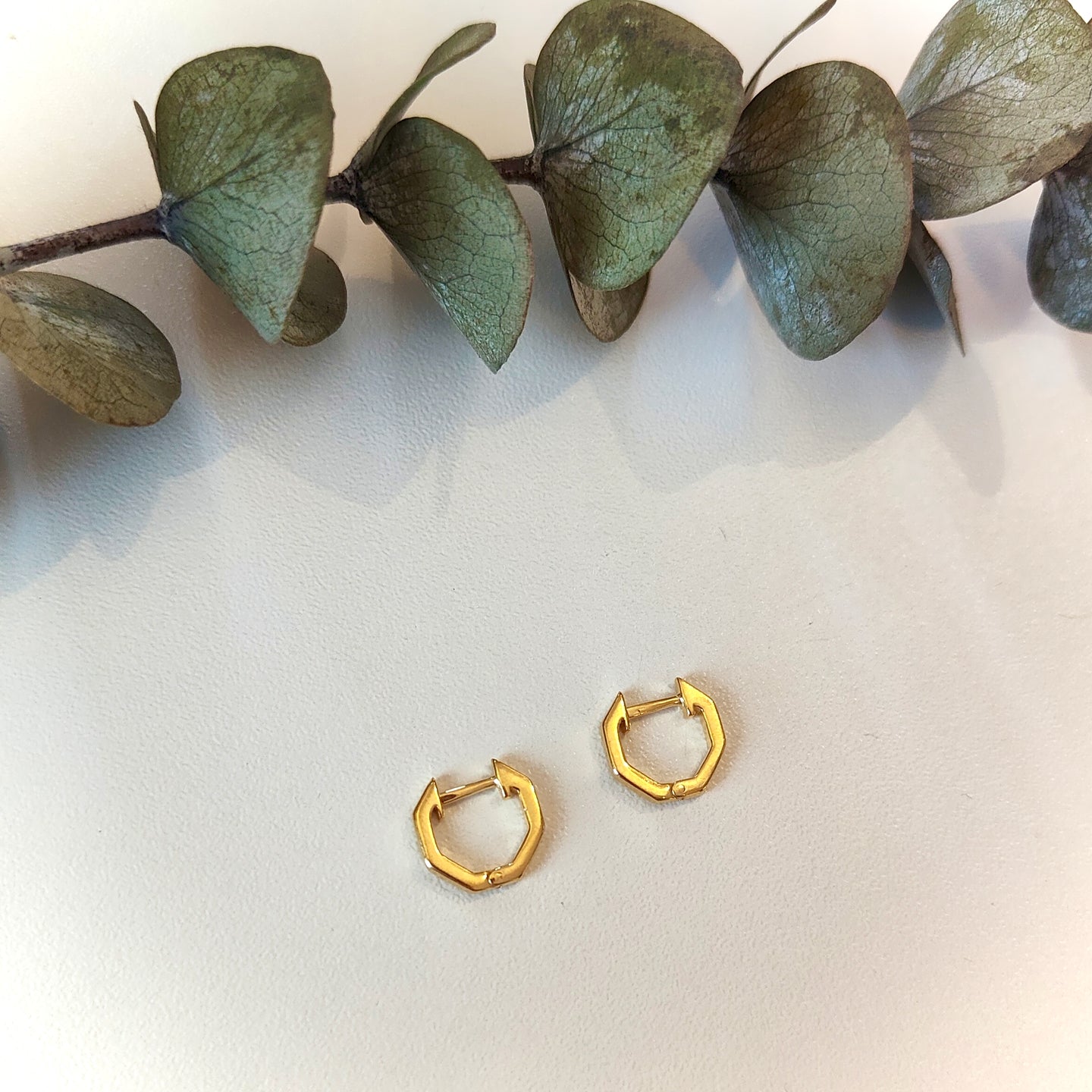 Hexigan Huggie Earrings