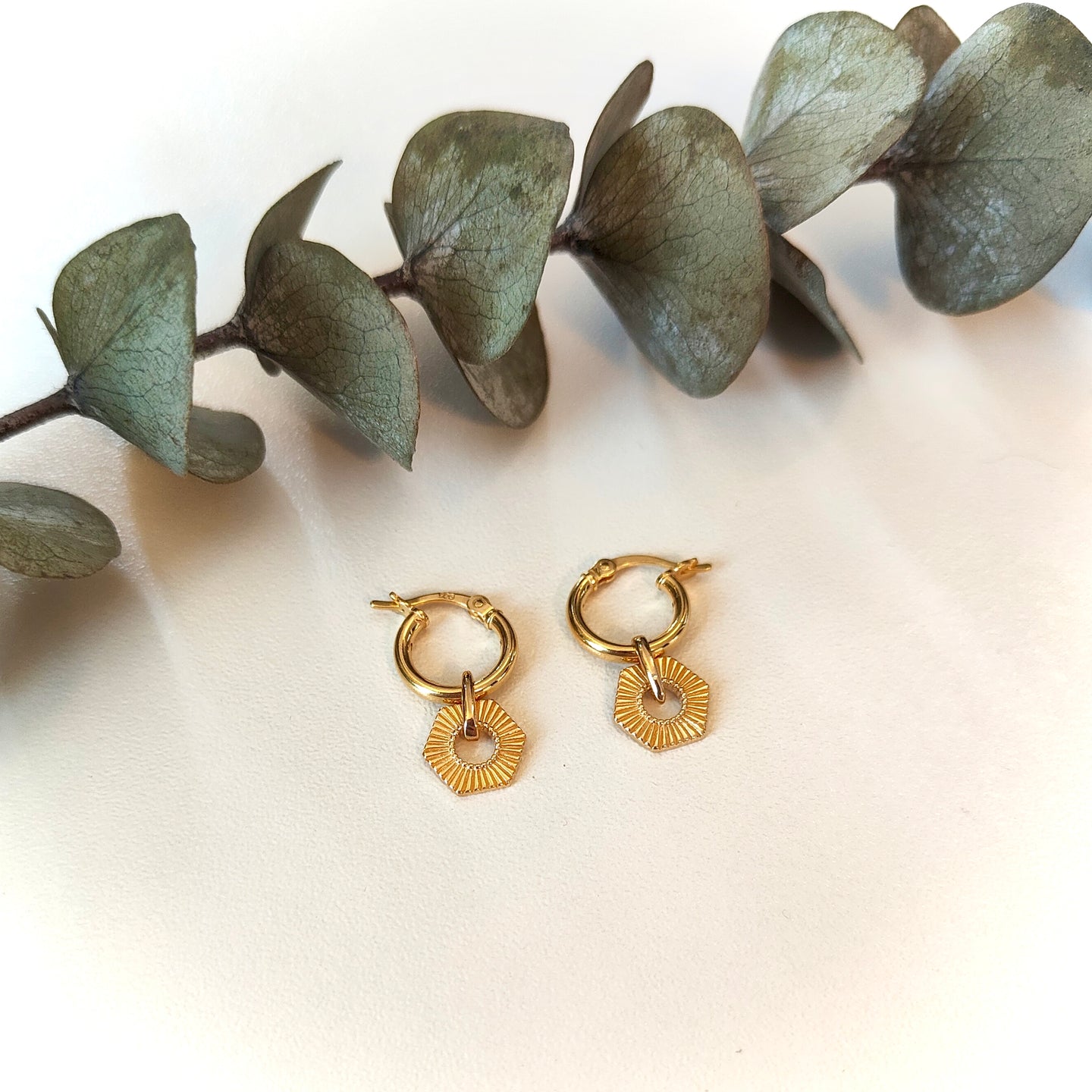 Sunrays Hinged Earrings (Removable Charm)