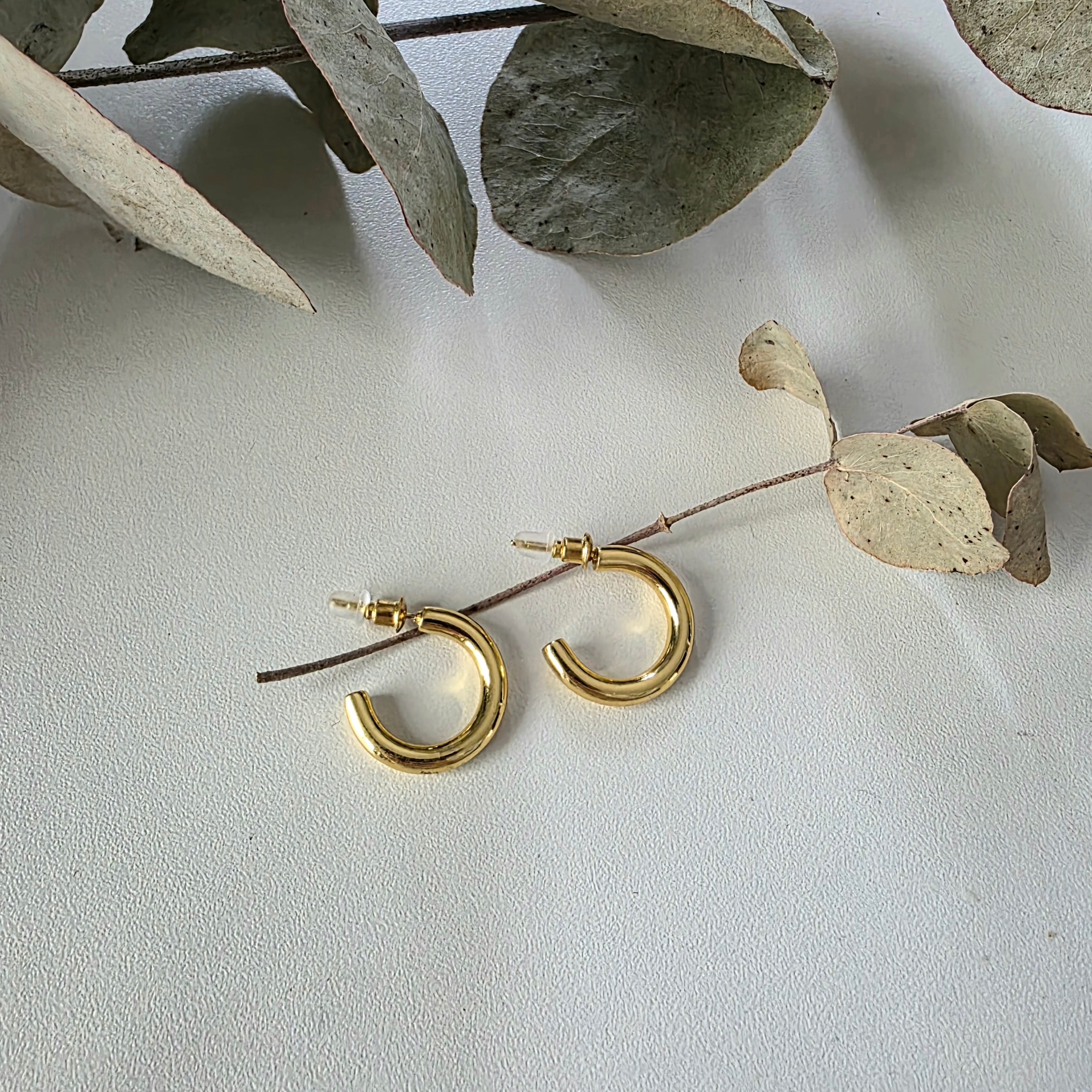 Hooped Stud Earrings