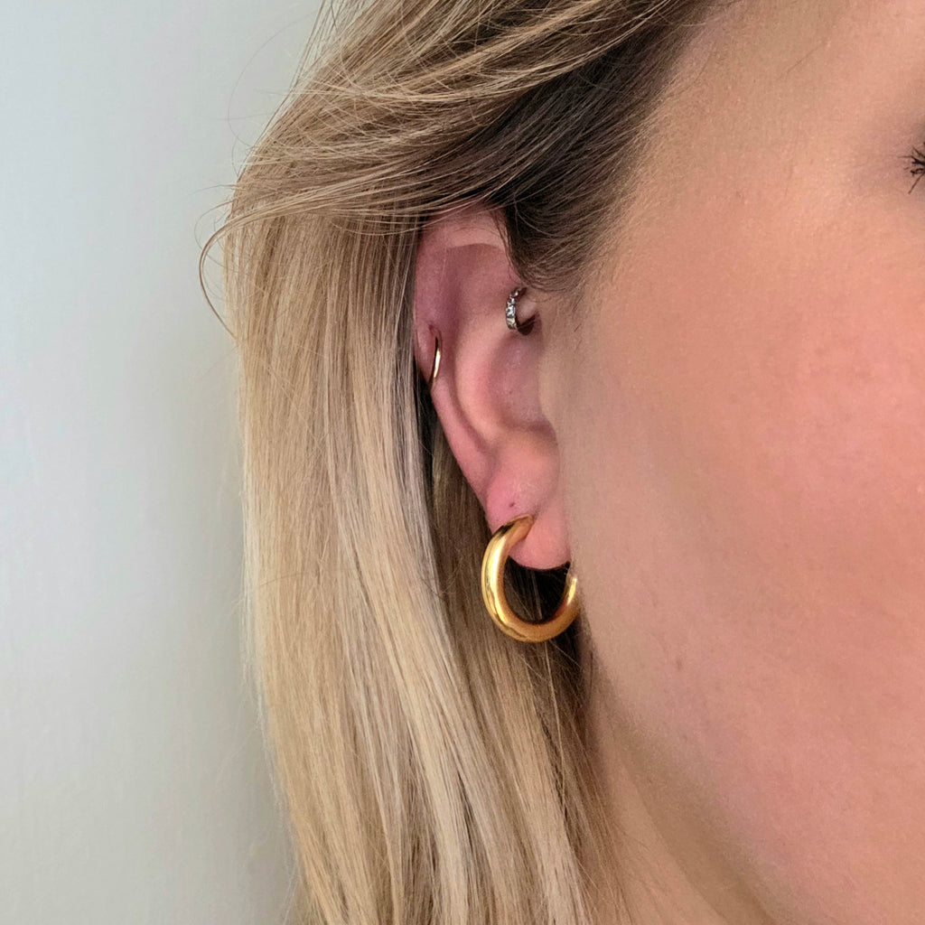 Hooped Stud Earrings