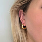 Hooped Stud Earrings