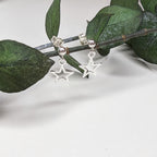 Hollow Star French Stud Earrings